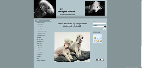 Bedlington Terrier Germany (D)